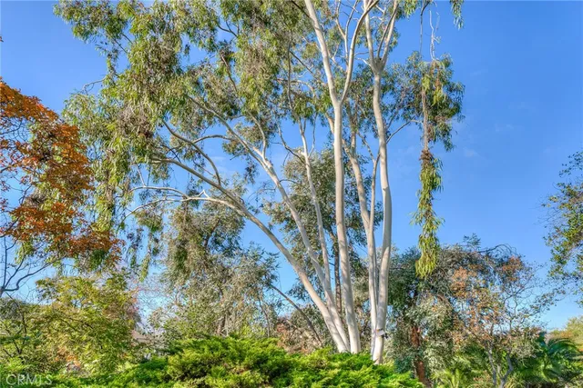 $395,000 | 3570 Olive Highway, Oroville, CA 95966