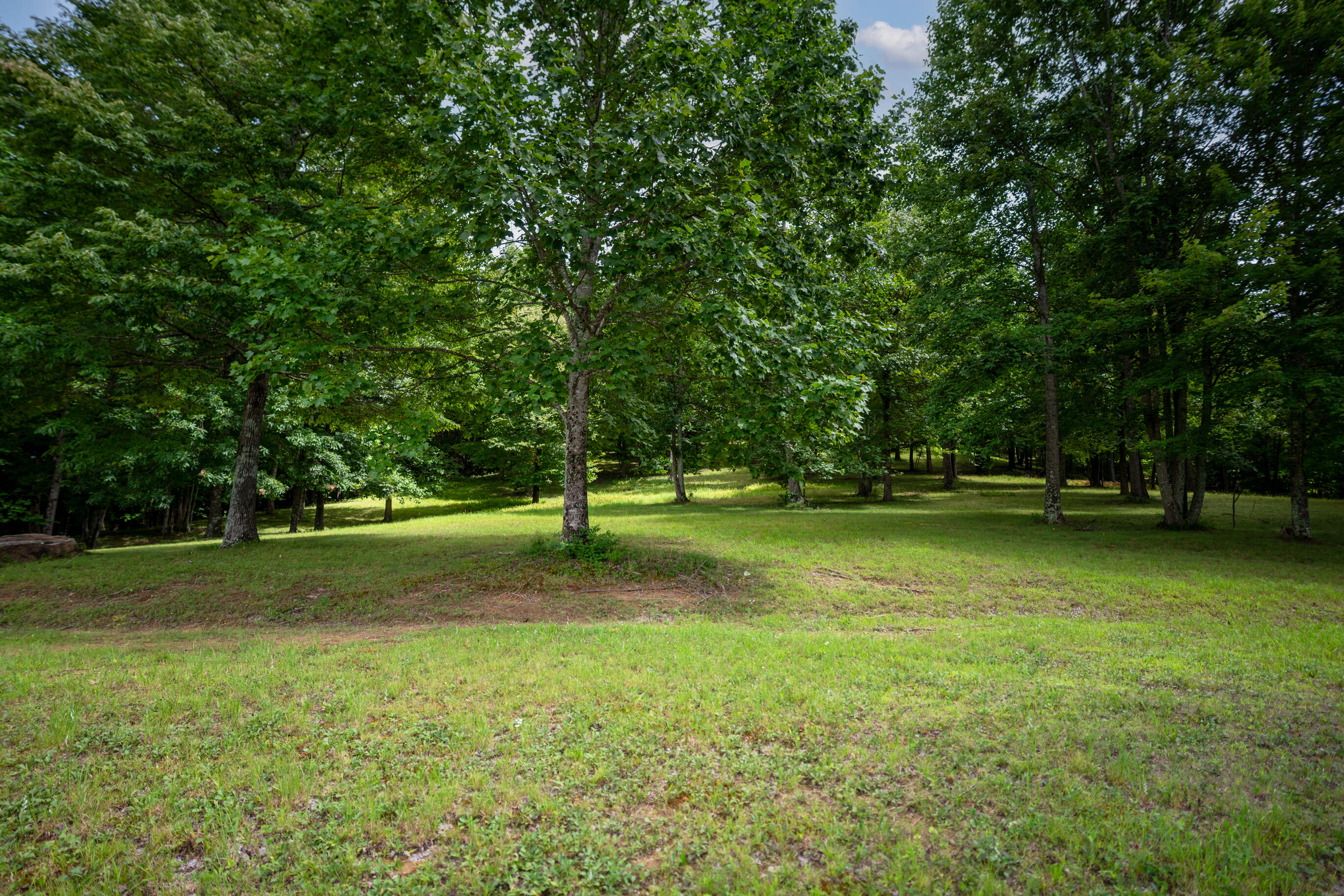 243 Roaring Creek Road Dunlap, TN 37327 - Photo 27 of 27 _DSC2442-Edit