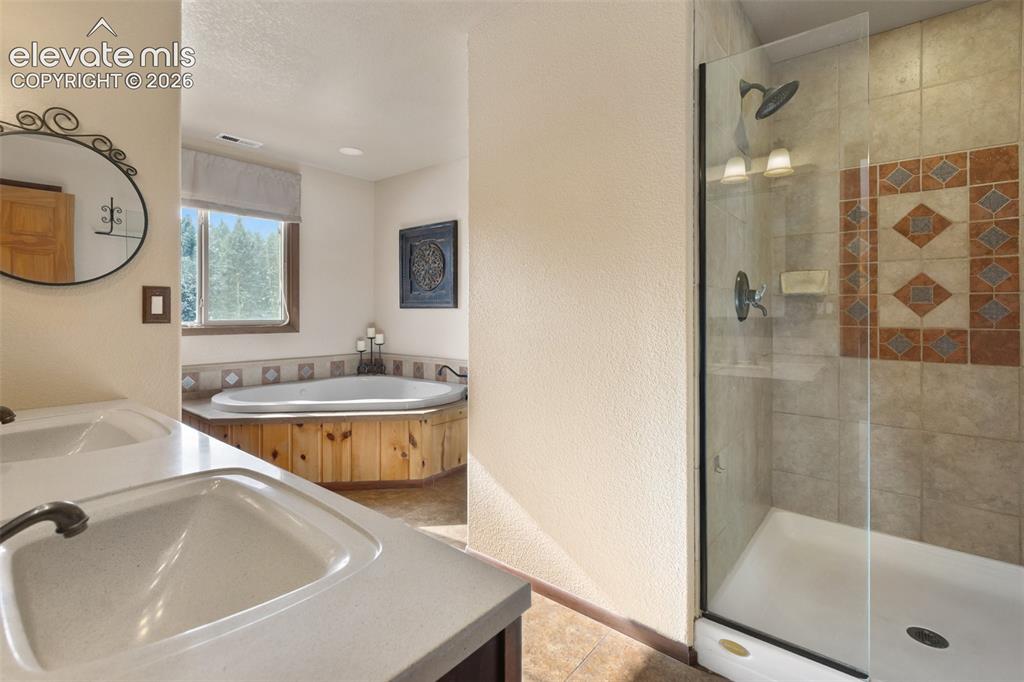 2809 Edlowe Road Woodland Park, CO 80863 - Photo 20 of 42 Primary Bathroom