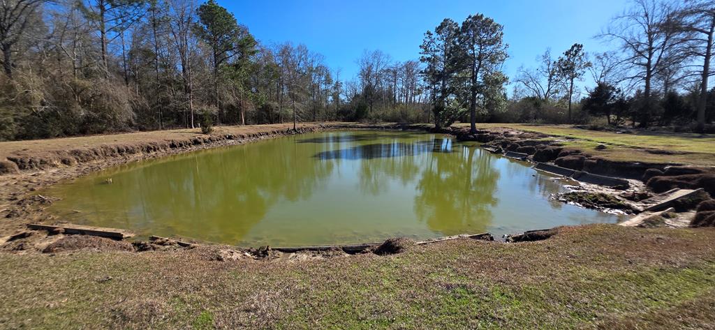 12.7-acres Nobles Road Dothan, AL 36301 - Photo 31 of 41