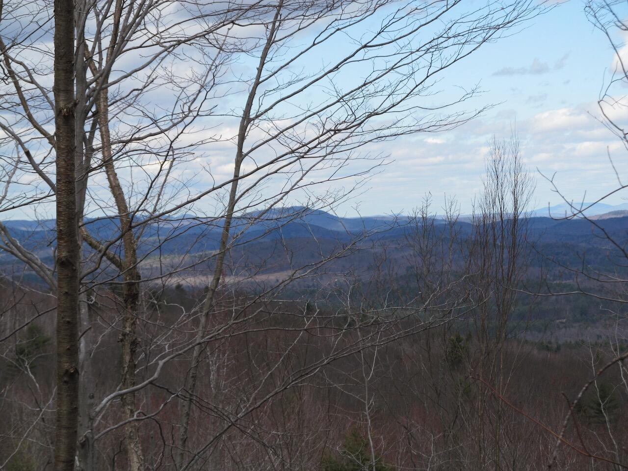 54.62 McAlister Road Buckfield, ME 04220 - Photo 10 of 80 IMG_0226
