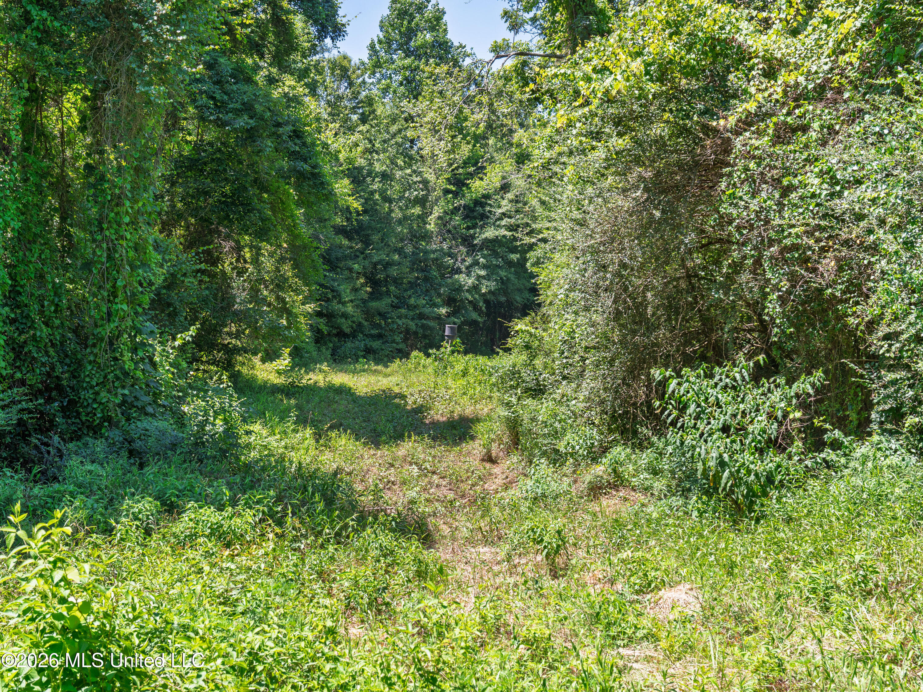 23 Co Road Bay Springs, MS 39422 - Photo 24 of 64 A7403765