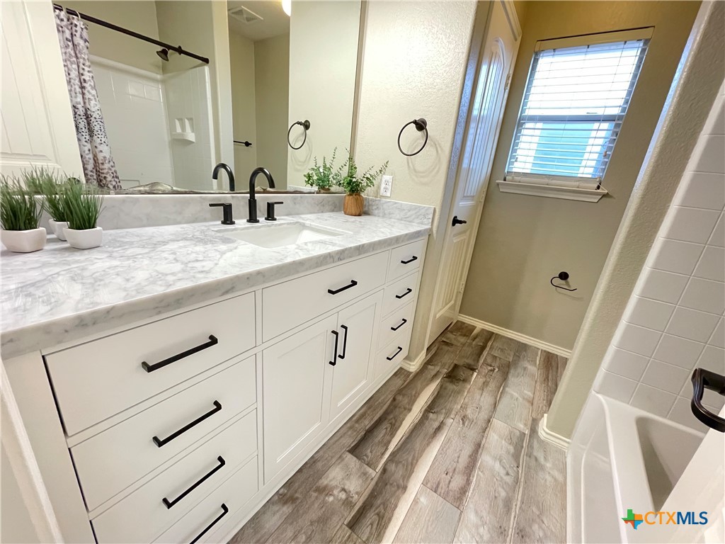 403 Red Hawk Drive Leander, TX 78641 - Photo 11 of 35 a bathroom with a double vanity sink and mirror with bathtub