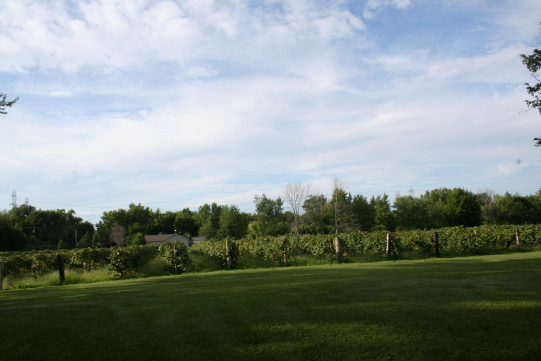8087 Jericho Road Bridgman, MI 49106 - Photo 27 of 39 IMG_7788