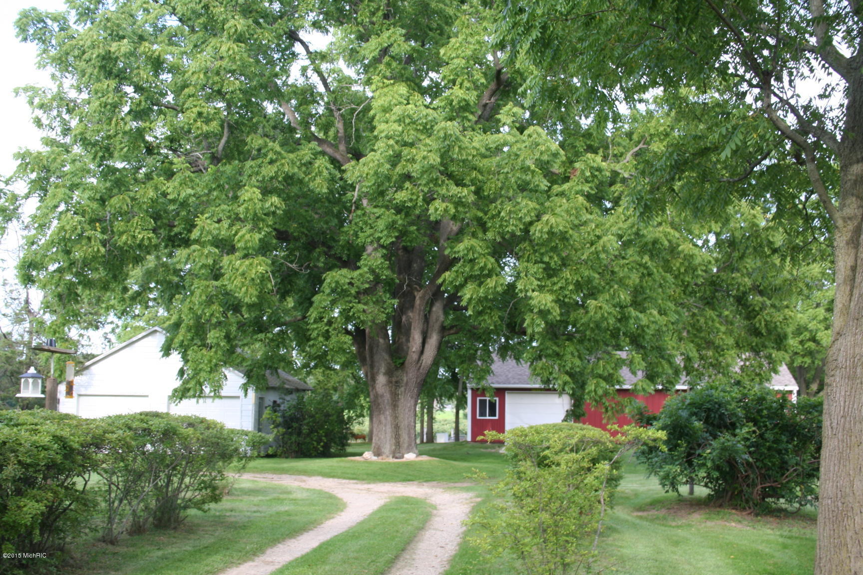 8087 Jericho Road Bridgman, MI 49106 - Photo 35 of 39 IMG_7699