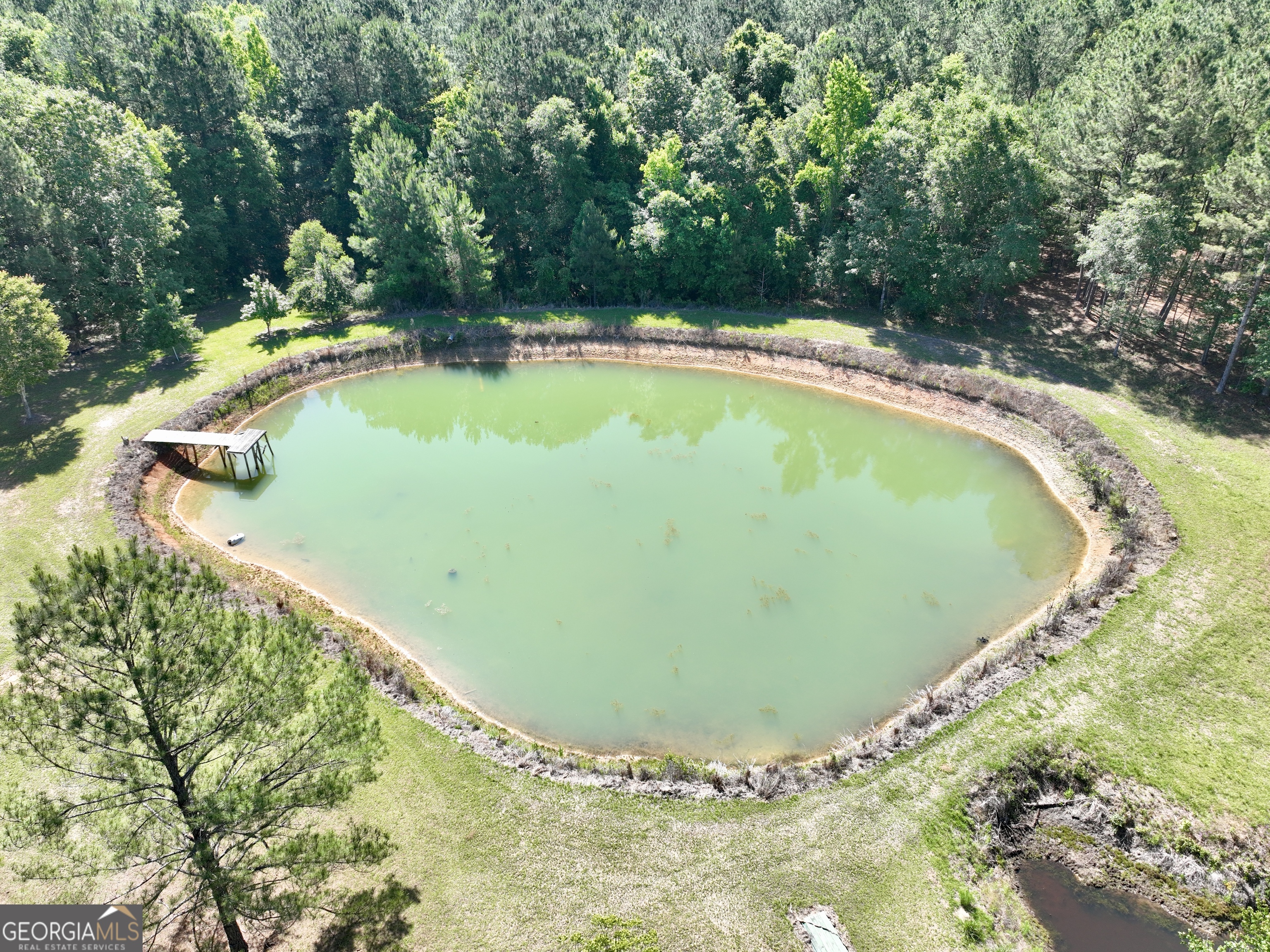 769 Mt Olive Church Road Eastman, GA 31023 - Photo 15 of 68