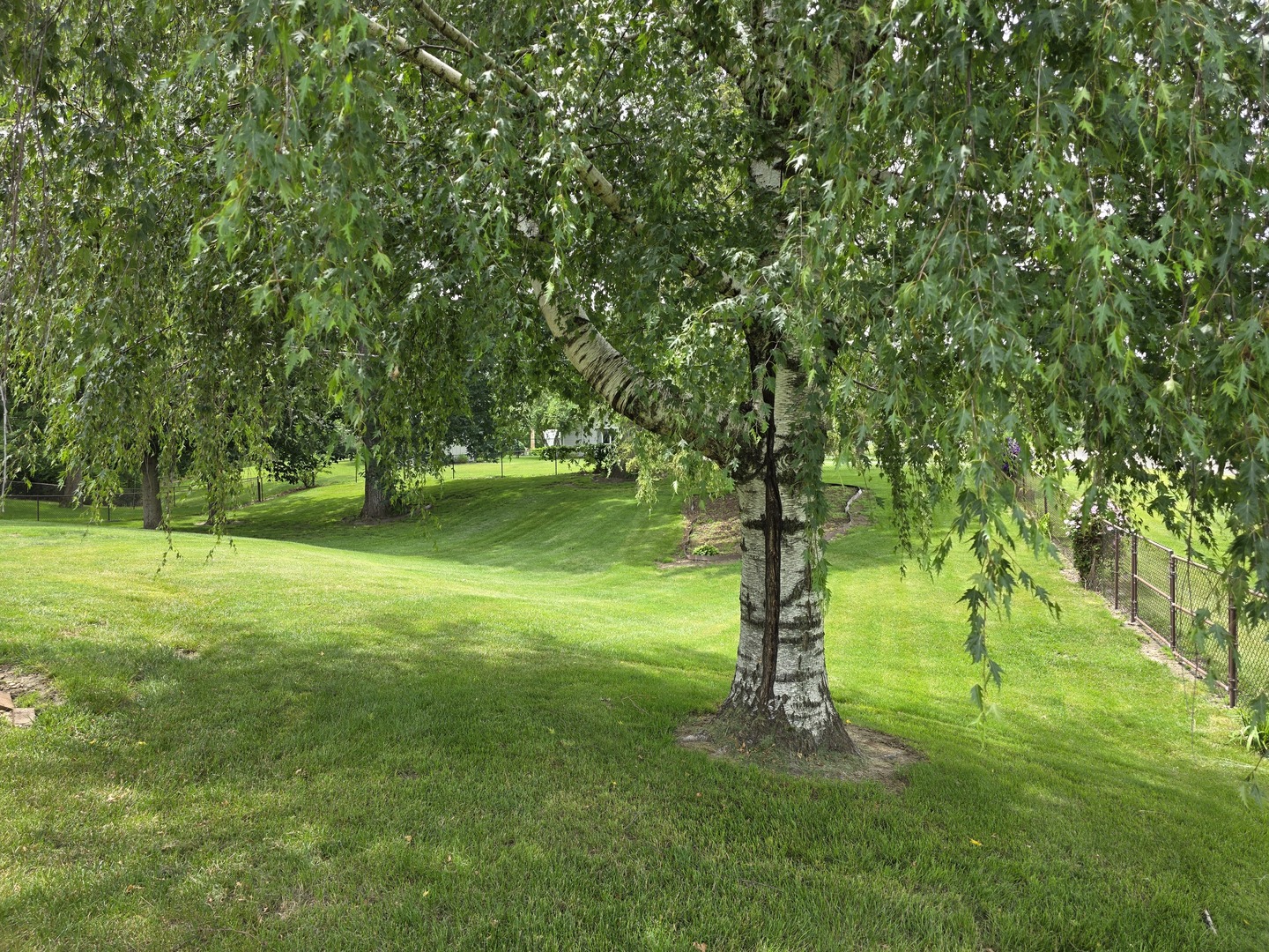 304 Tree Lane Prophetstown, IL 61277 - Photo 18 of 19