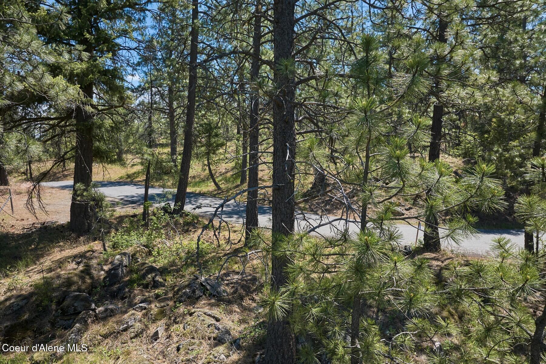 291 Simonsen Road Post Falls, ID 83854 - Photo 51 of 86 full_Simonsen rd_Parcel B_31