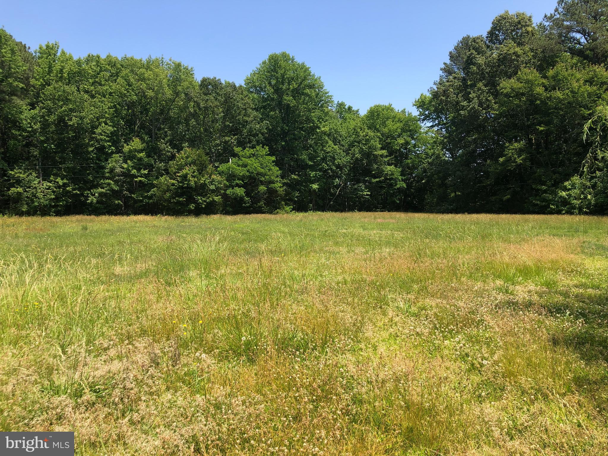 47891 Beachville Road St. Inigoes, MD 20684 - Photo 2 of 8