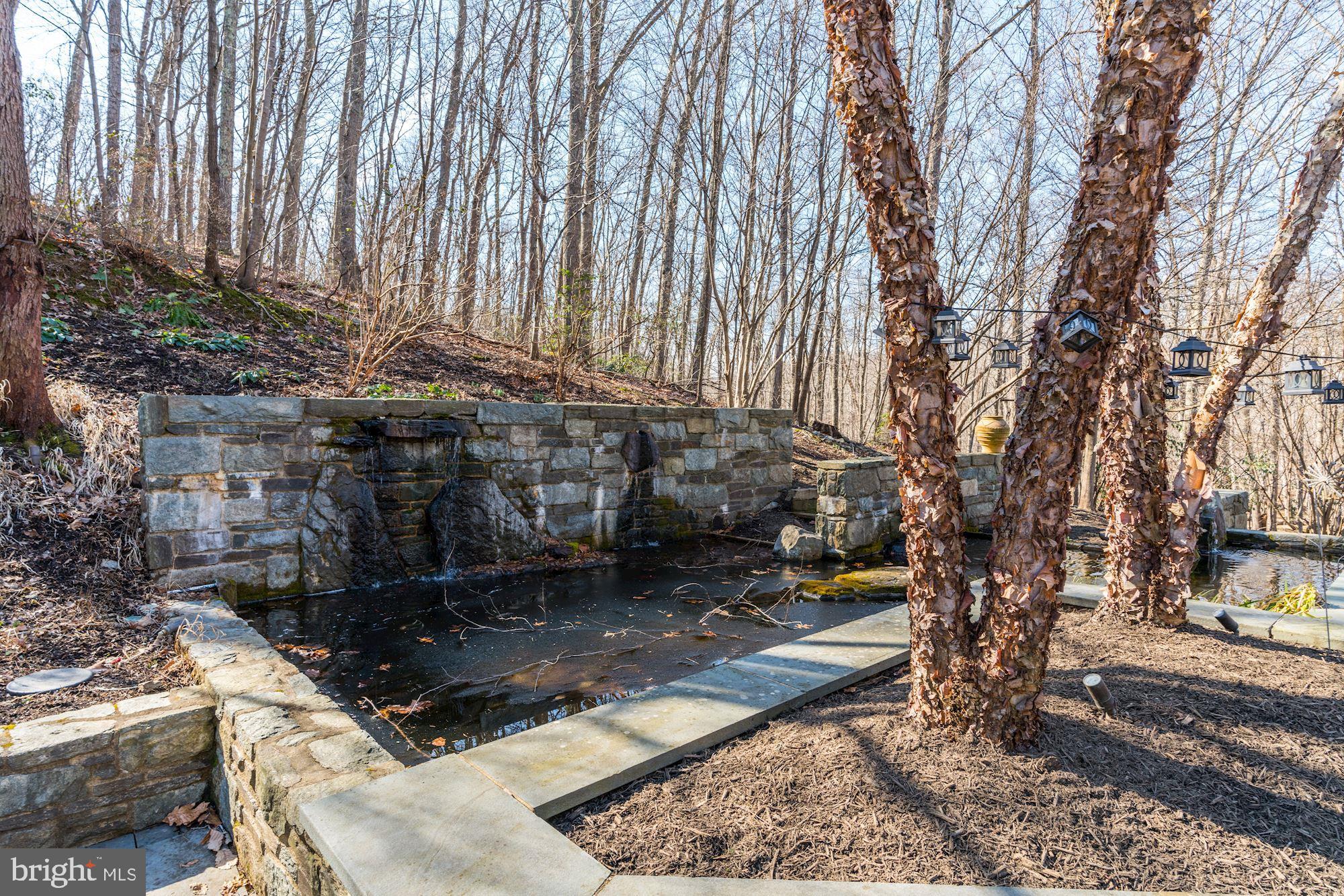 2008 Roundhouse Road Vienna, VA 22181 - Photo 65 of 71 Custom pond & water fountain surrounded by nature