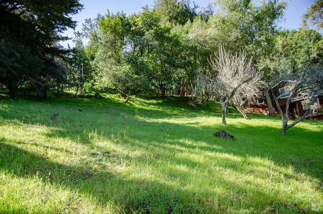 a view of a green field