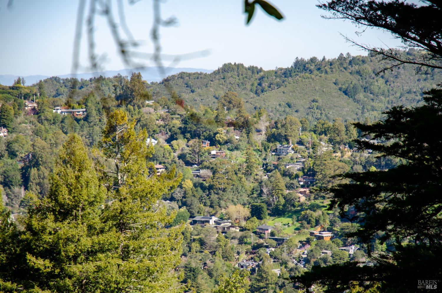 55 Mono Way Mill Valley, CA 94941 - Photo 13 of 15 a view of a bunch of trees