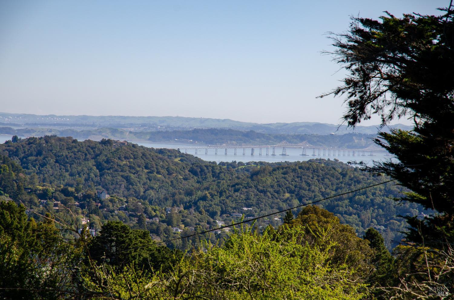 55 Mono Way Mill Valley, CA 94941 - Photo 15 of 15 a view of a bunch of trees and bushes