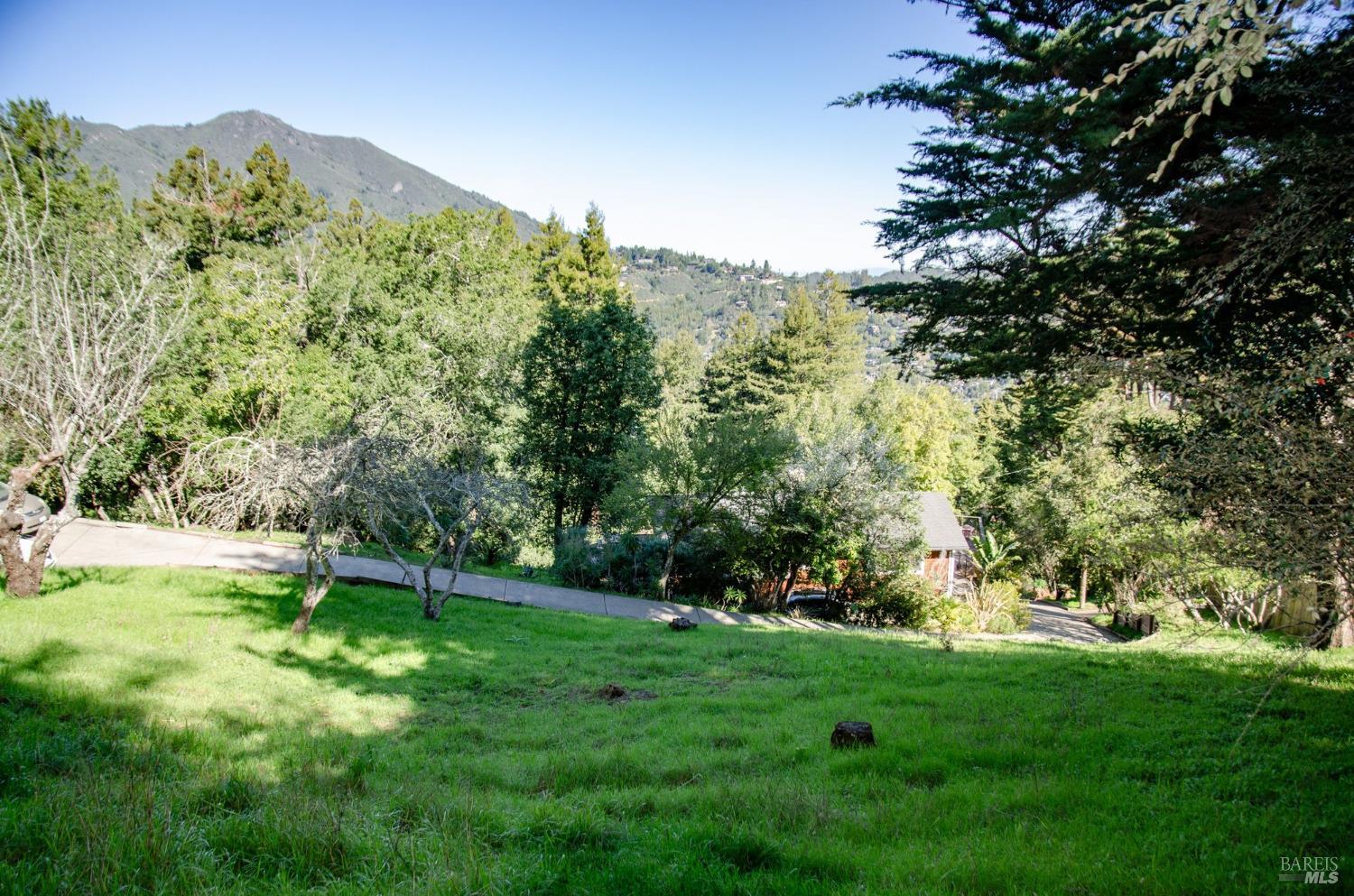 55 Mono Way Mill Valley, CA 94941 - Photo 2 of 15 a view of an outdoor space and a yard