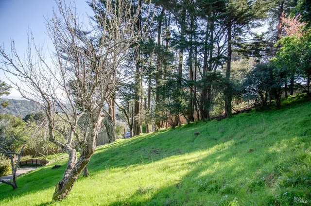 a view of yard with green space