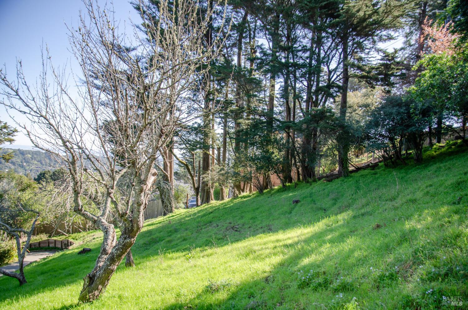 55 Mono Way Mill Valley, CA 94941 - Photo 3 of 15 a view of yard with green space