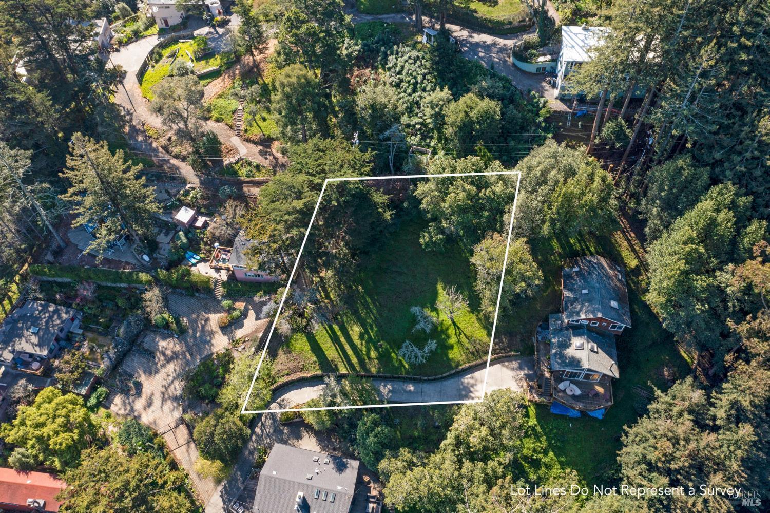 55 Mono Way Mill Valley, CA 94941 - Photo 5 of 15