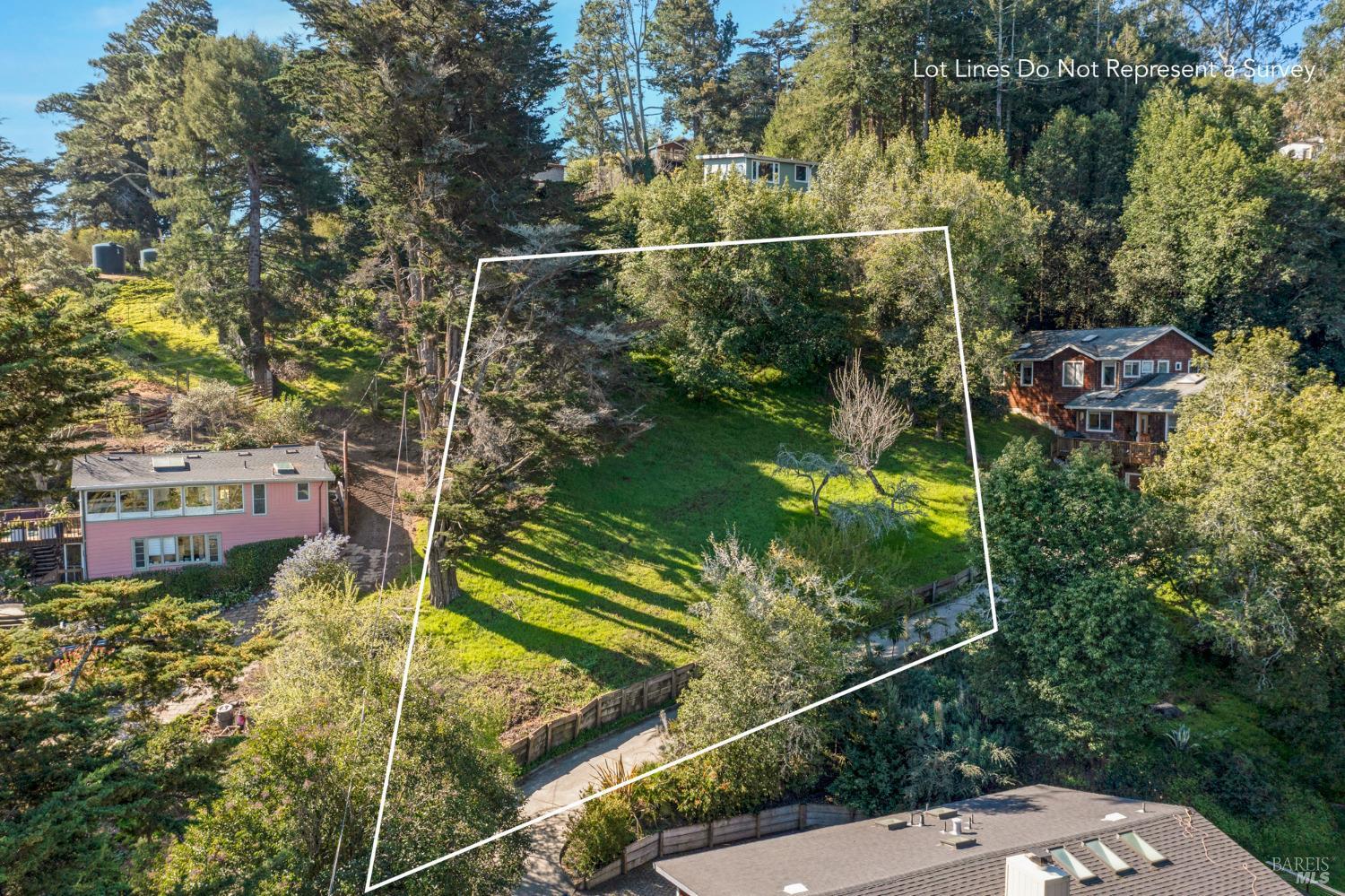 55 Mono Way Mill Valley, CA 94941 - Photo 6 of 15 a view of a back yard