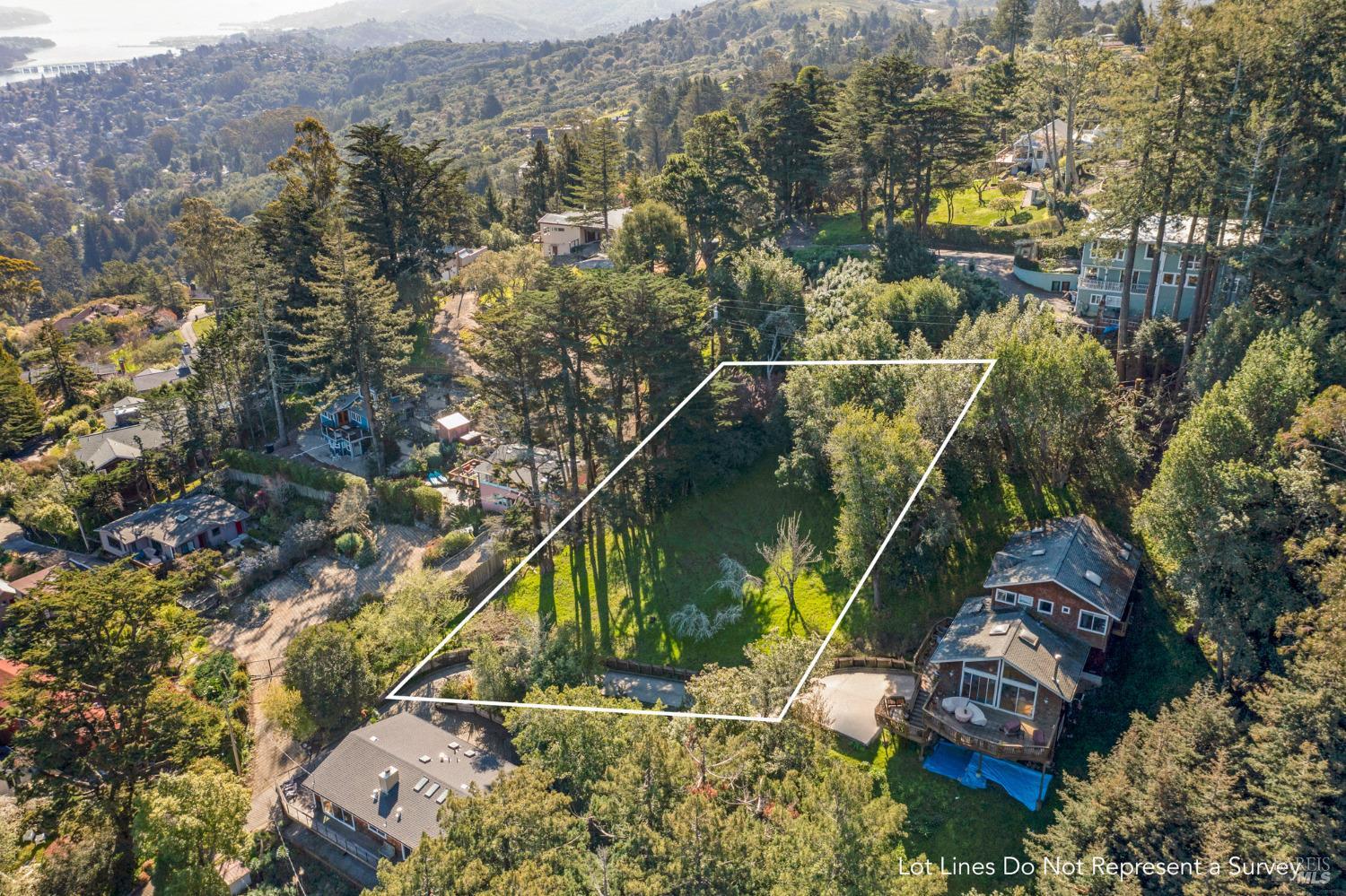 55 Mono Way Mill Valley, CA 94941 - Photo 7 of 15 a aerial view of a house with a lake