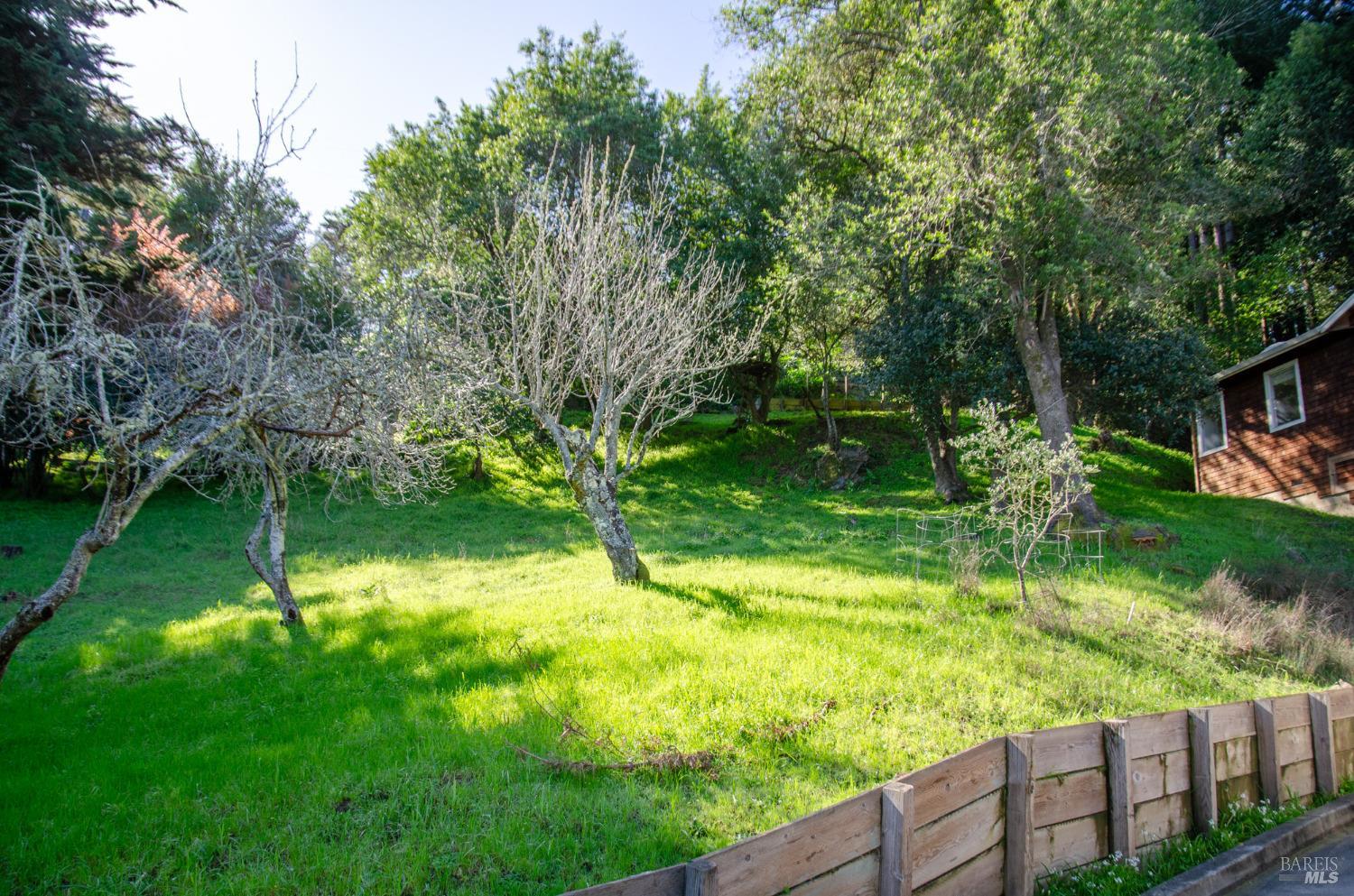 55 Mono Way Mill Valley, CA 94941 - Photo 9 of 15 a view of yard with green space