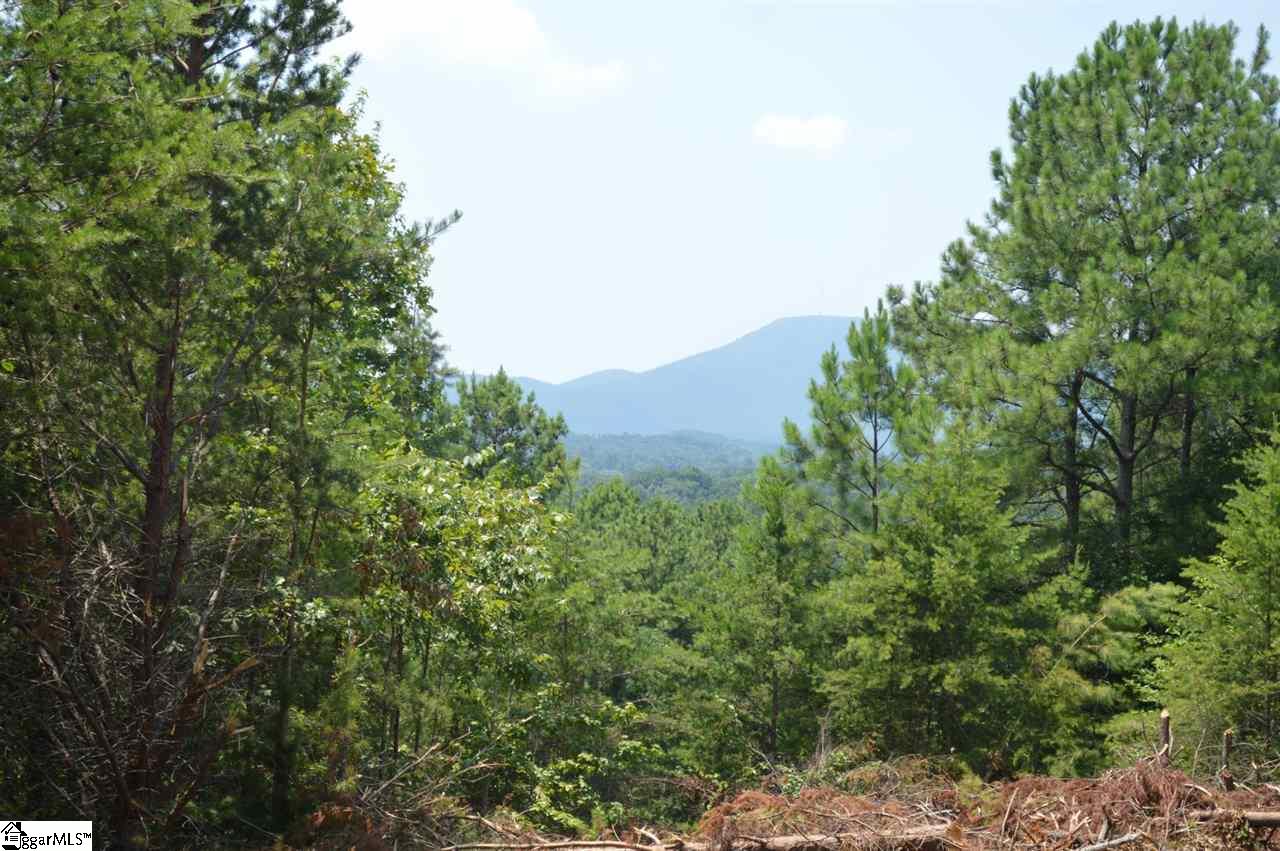 0 Christopher Road Tryon, NC 28782 - Photo 14 of 22