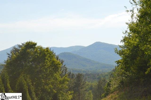 0 Christopher Road Tryon, NC 28782 - Photo 3 of 22