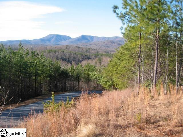 0 Christopher Road Tryon, NC 28782 - Photo 8 of 22