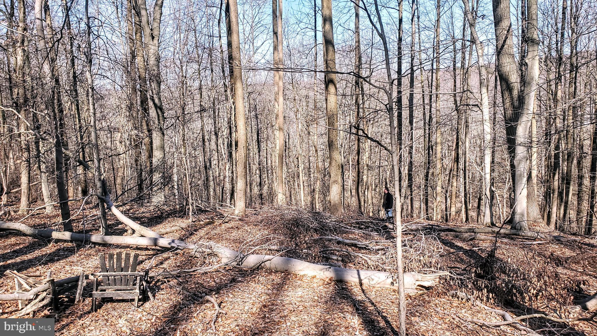 111 Stoney Ridge Road Landenberg, PA 19350 - Photo 3 of 4