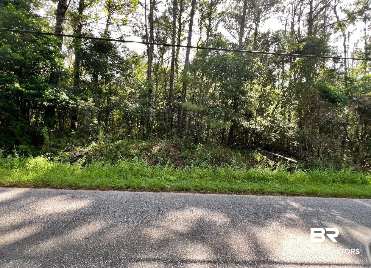2420 Anton Street Mobile, AL 36612 - Photo 1 of 4 View of road