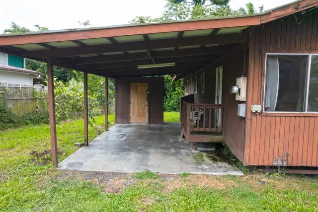 a view of a backyard with large trees and plants