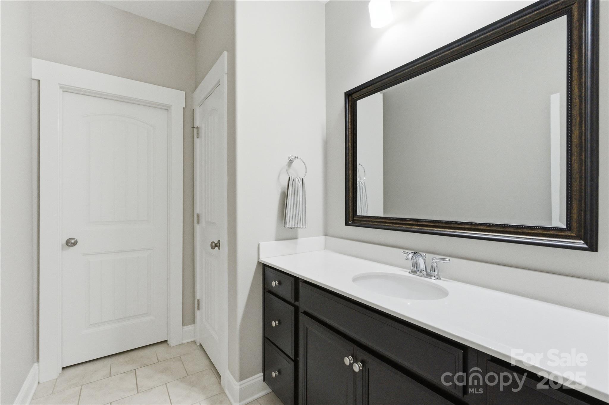 743 Bluff Loop Road Rock Hill, SC 29730 - Photo 30 of 37 a bathroom with a double vanity sink and a mirror