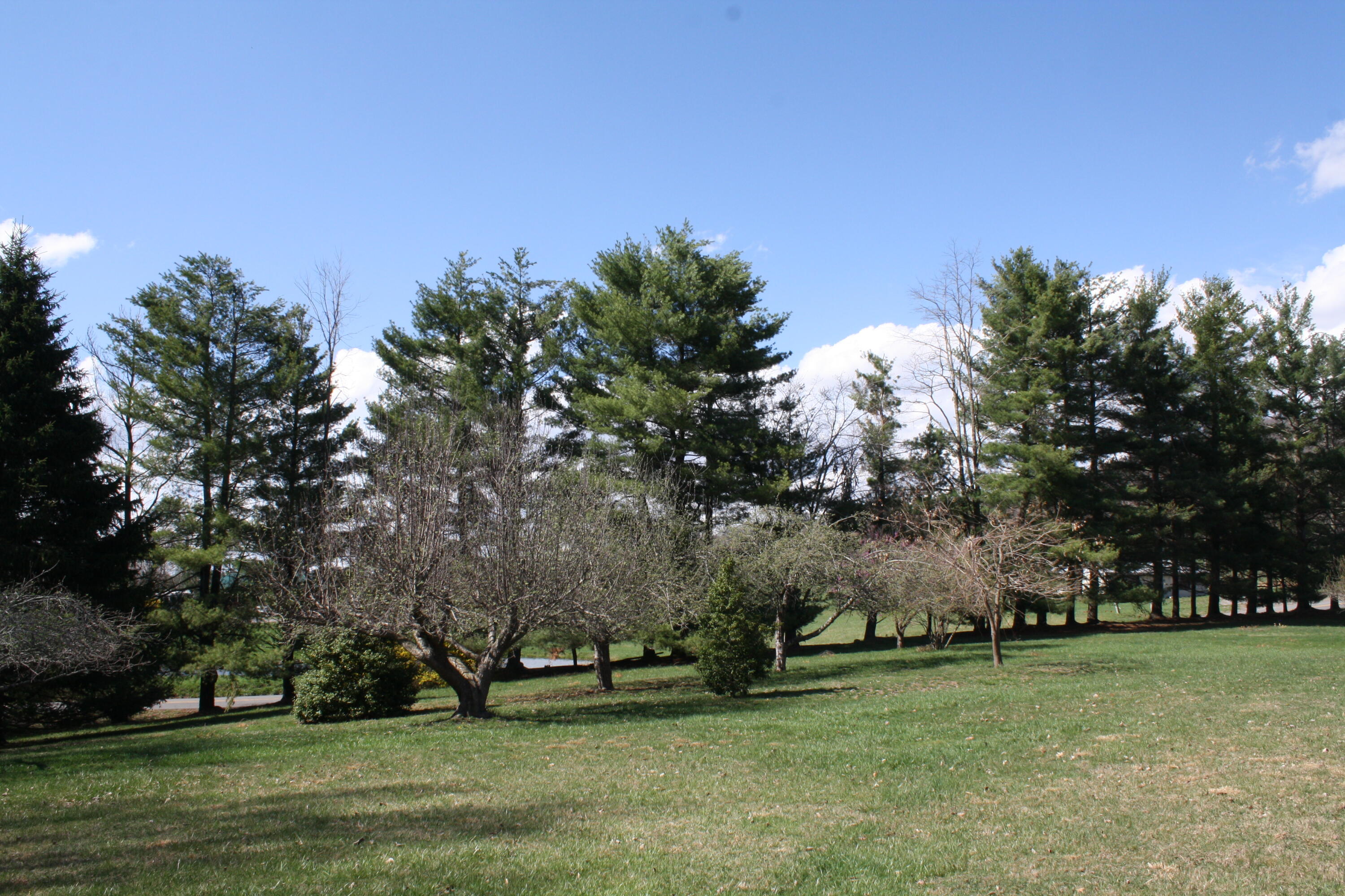 4284 Elk Knob Road Hinton, WV 25951 - Photo 51 of 61 Gallery Image 51