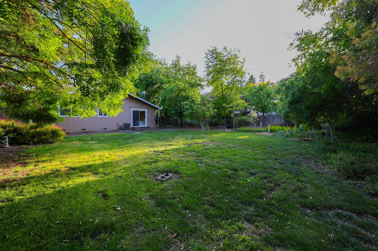 39872 Barry Road Davis, CA 95616 - Photo 25 of 31