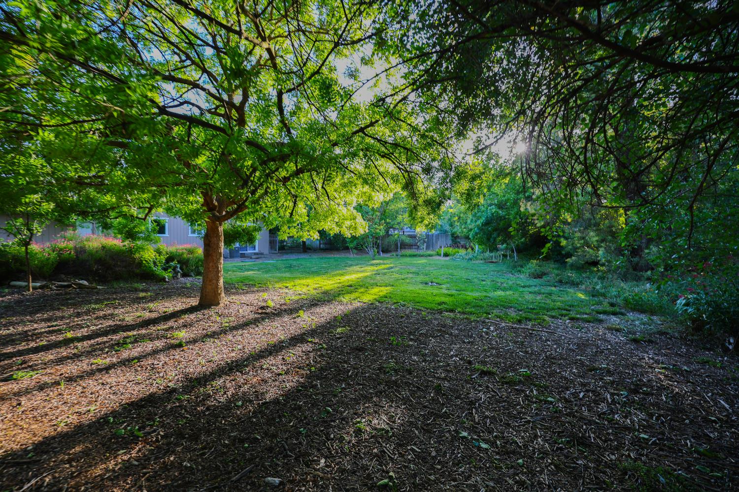 39872 Barry Road Davis, CA 95616 - Photo 26 of 31