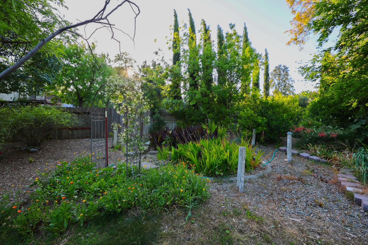 39872 Barry Road Davis, CA 95616 - Photo 27 of 31