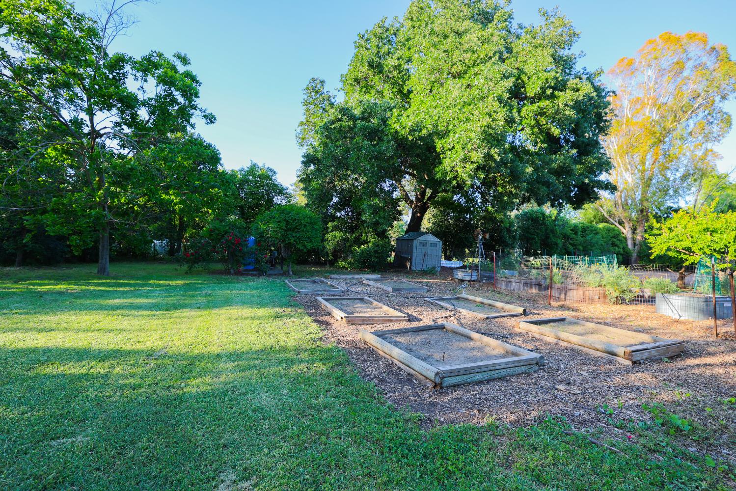 39872 Barry Road Davis, CA 95616 - Photo 29 of 31