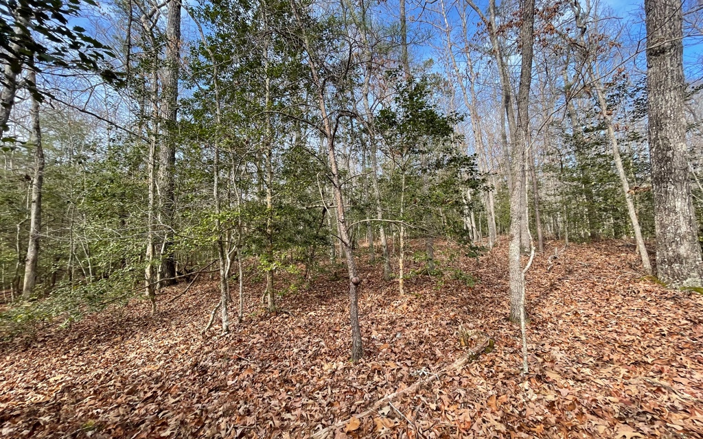 5.9-ac Voylestown Road Morganton, GA 30560 - Photo 16 of 22 Additional View