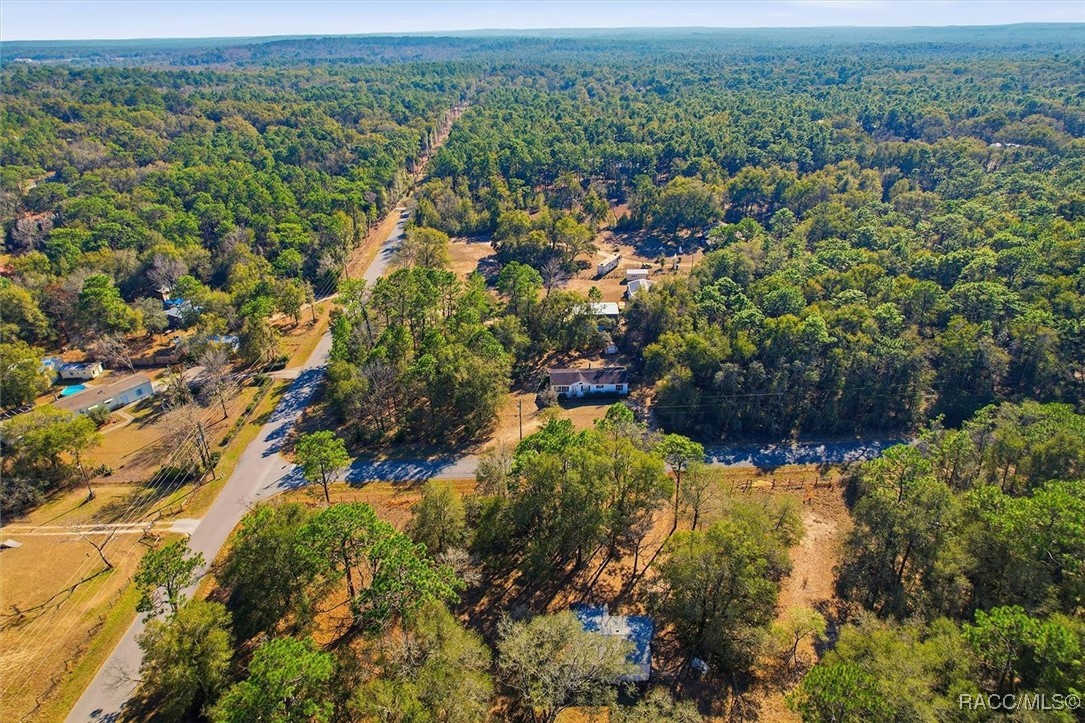 3732 East Flint Lane Inverness, FL 34452 - Photo 40 of 41