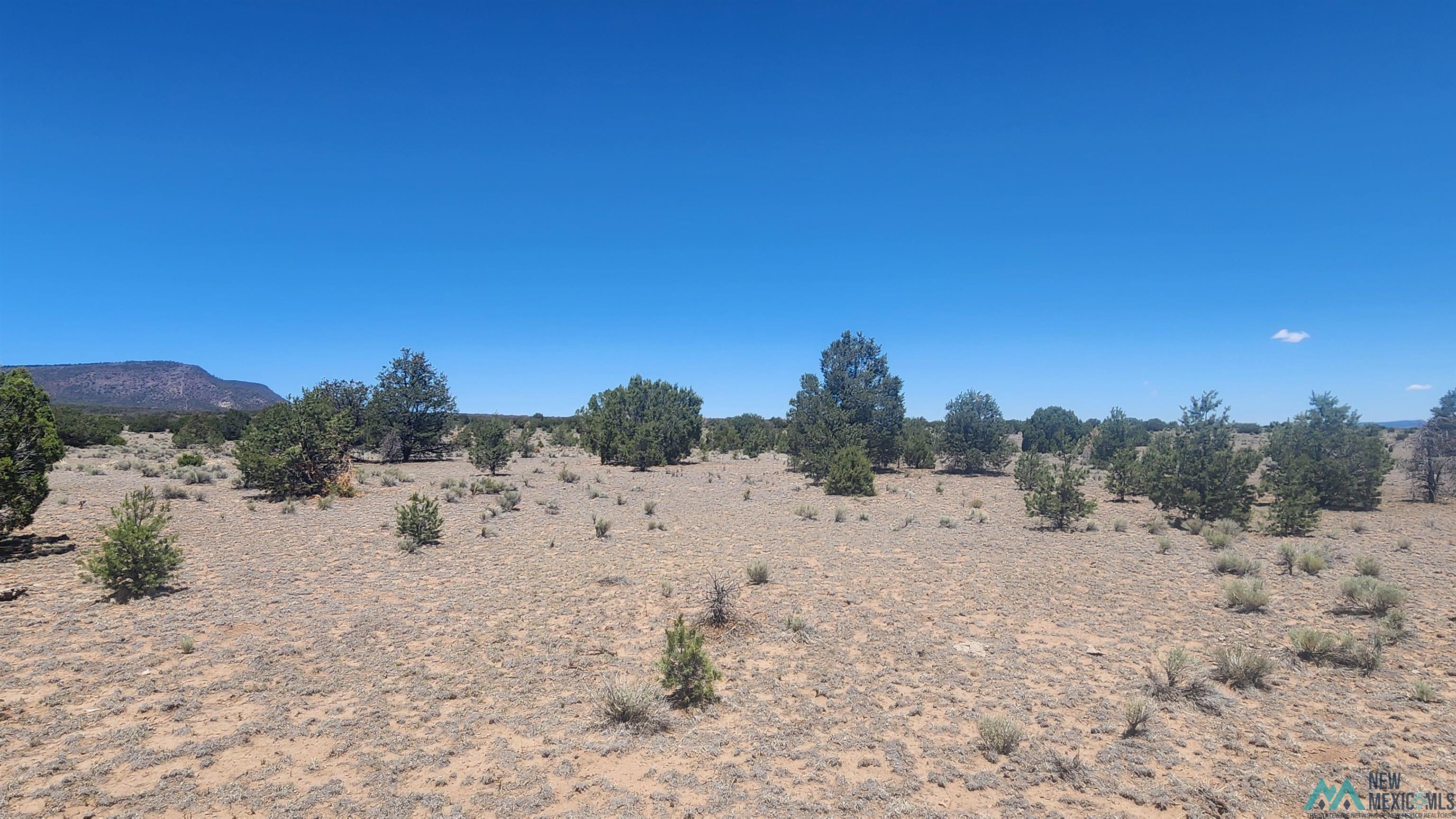 Tbd Mangas Road Quemado, NM 87829 - Photo 11 of 15