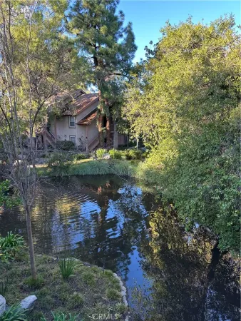 a lake view