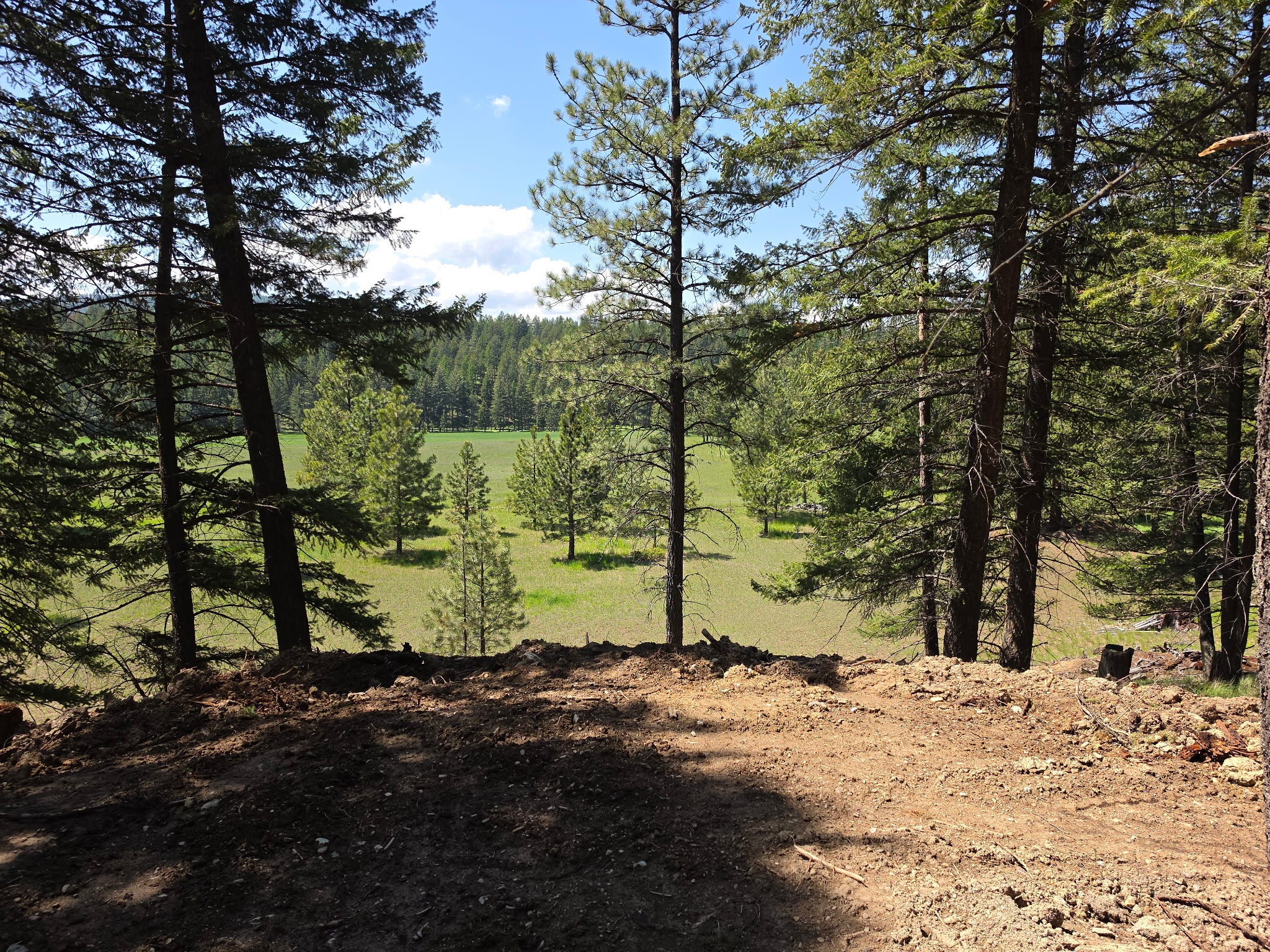 568 Bald Rock Road Kalispell, MT 59901 - Photo 27 of 37 Gallery Image 27