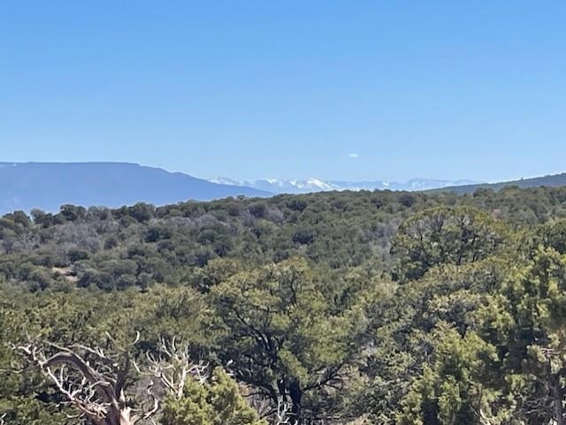 4-5 & 6 Elk Ranch Road Glade Park, CO 81523 - Photo 12 of 33 an aerial view of mountain and trees
