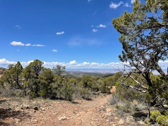 4-5 & 6 Elk Ranch Road Glade Park, CO 81523 - Photo 16 of 33 a view of a yard with a tree in the background