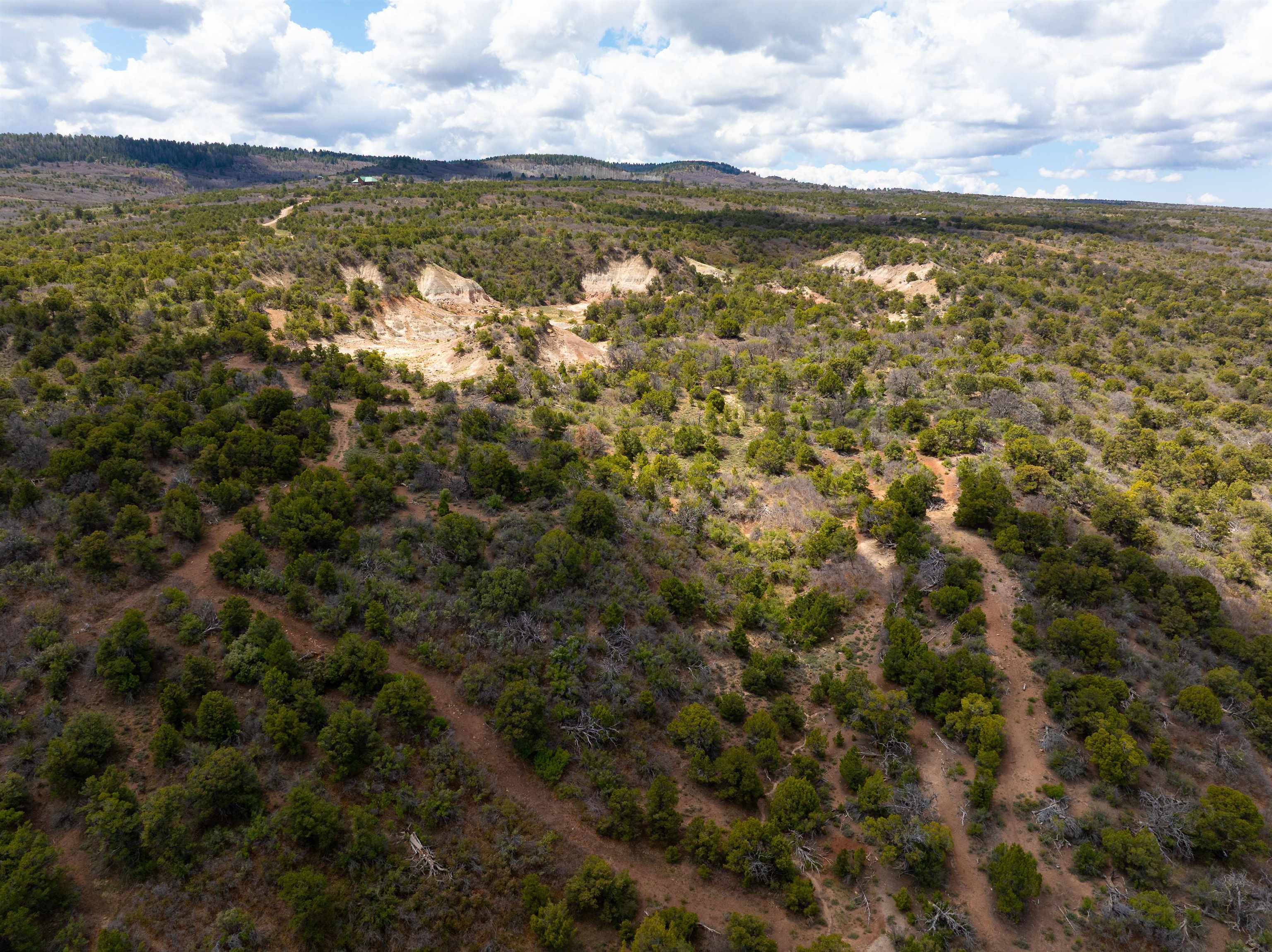 4-5 & 6 Elk Ranch Road Glade Park, CO 81523 - Photo 17 of 33 a view of an ocean