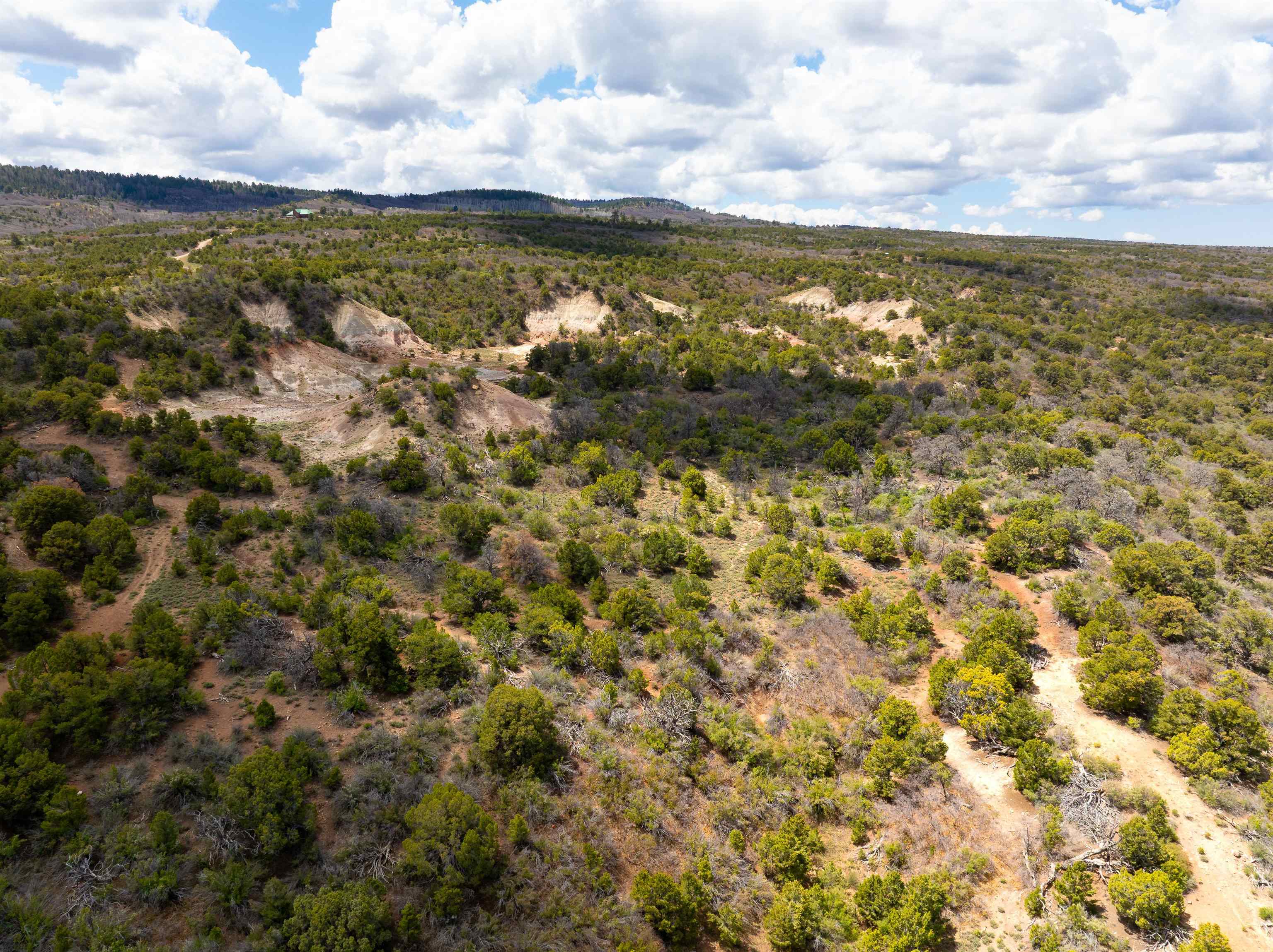 4-5 & 6 Elk Ranch Road Glade Park, CO 81523 - Photo 21 of 33