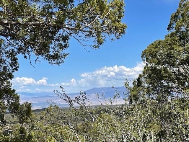 4-5 & 6 Elk Ranch Road Glade Park, CO 81523 - Photo 27 of 33 a view of a flower