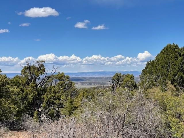 4-5 & 6 Elk Ranch Road Glade Park, CO 81523 - Photo 28 of 33 a view of a bunch of trees and a lake