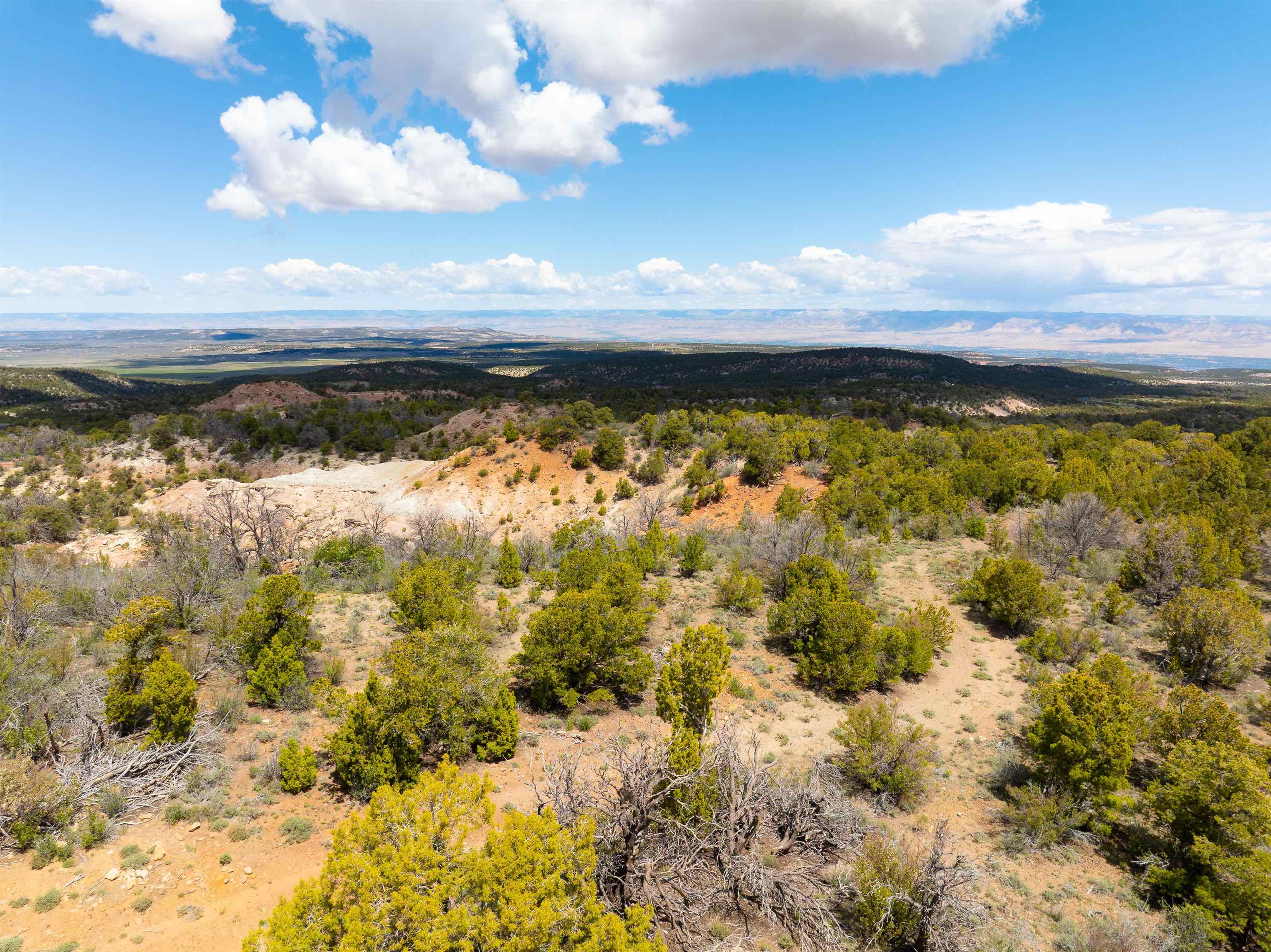 4-5 & 6 Elk Ranch Road Glade Park, CO 81523 - Photo 29 of 33