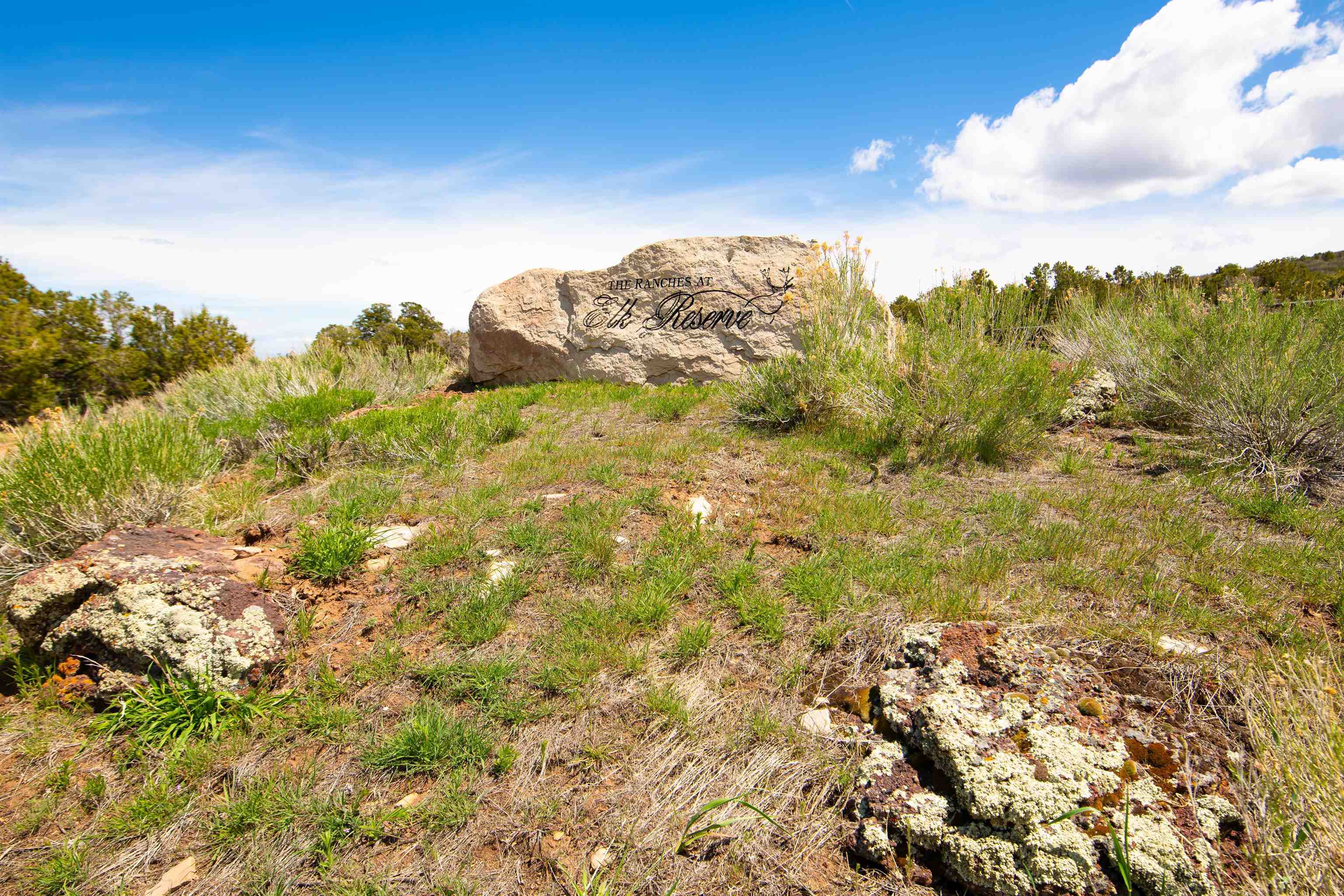 4-5 & 6 Elk Ranch Road Glade Park, CO 81523 - Photo 3 of 33 a view of a large building with mountains in the background