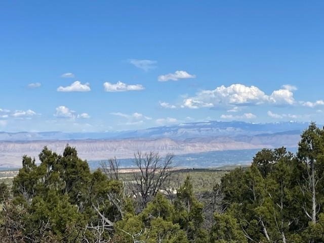 4-5 & 6 Elk Ranch Road Glade Park, CO 81523 - Photo 33 of 33 a view of a lake in middle of forest